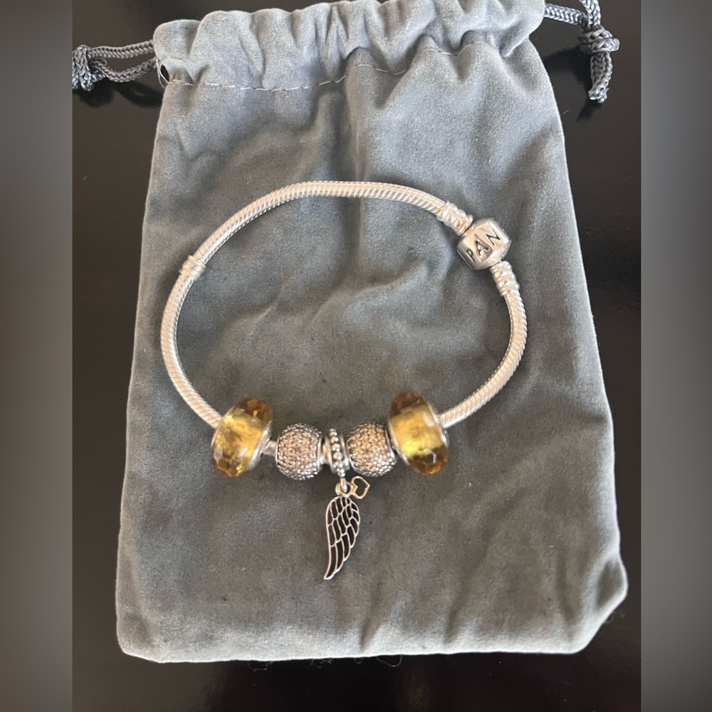 Beautiful Pandora Charm Bracelet